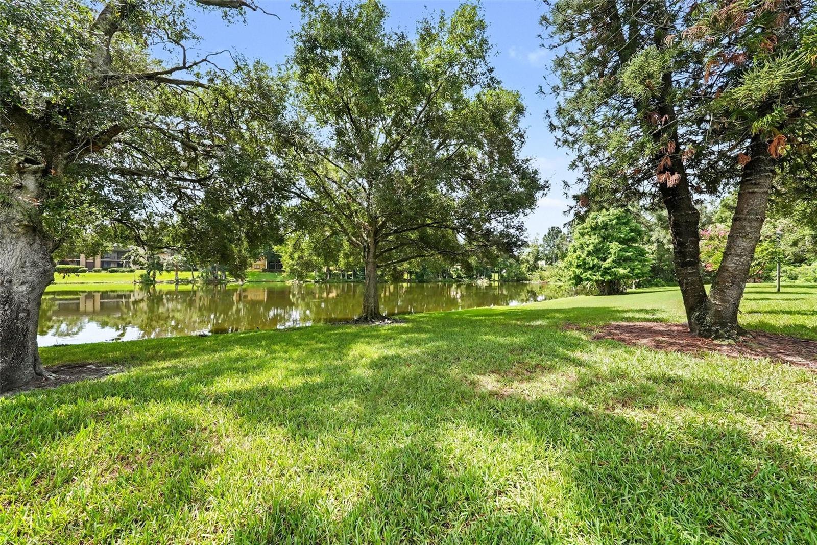 11805 Skylake Pl #c Property Photo 28