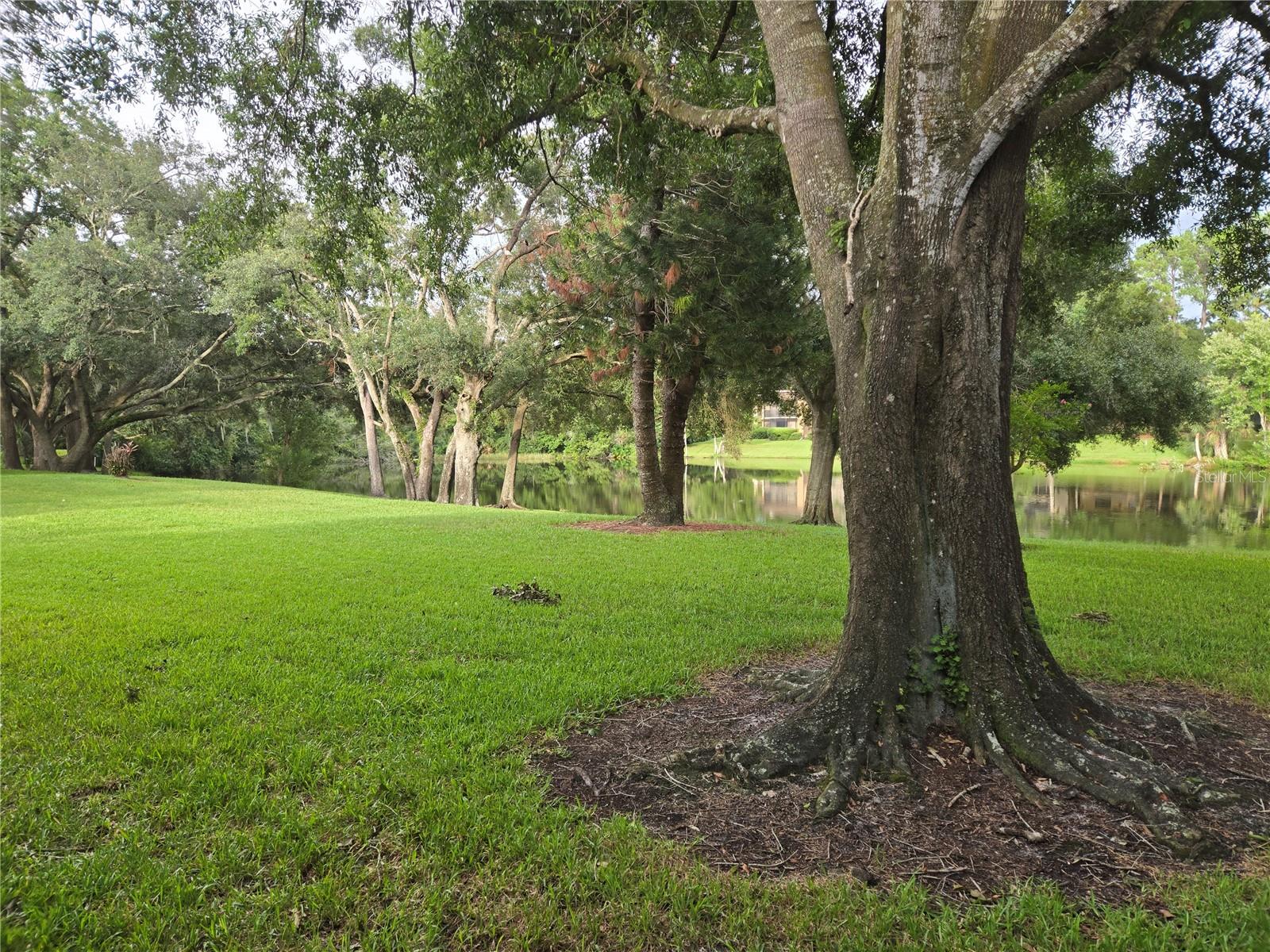 11805 Skylake Pl #c Property Photo 33
