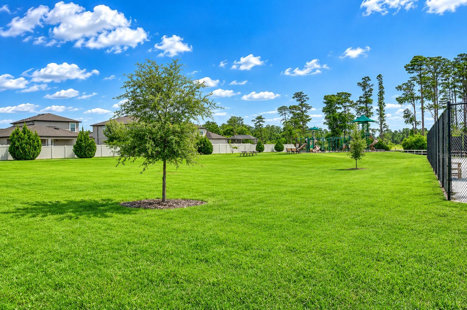 1621 Leaf Flower Ln Property Photo 59