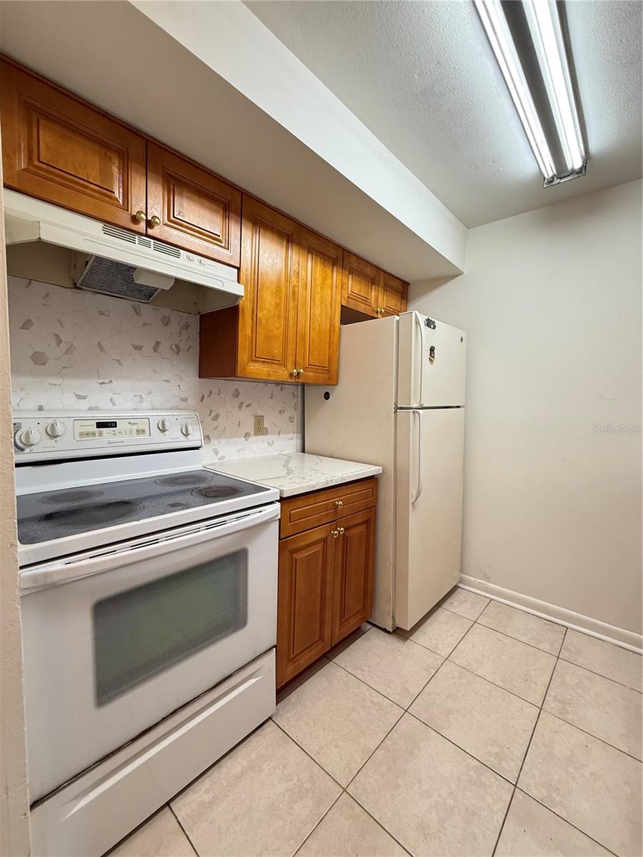 14308 Hanging Moss Cir #102 Property Photo 15
