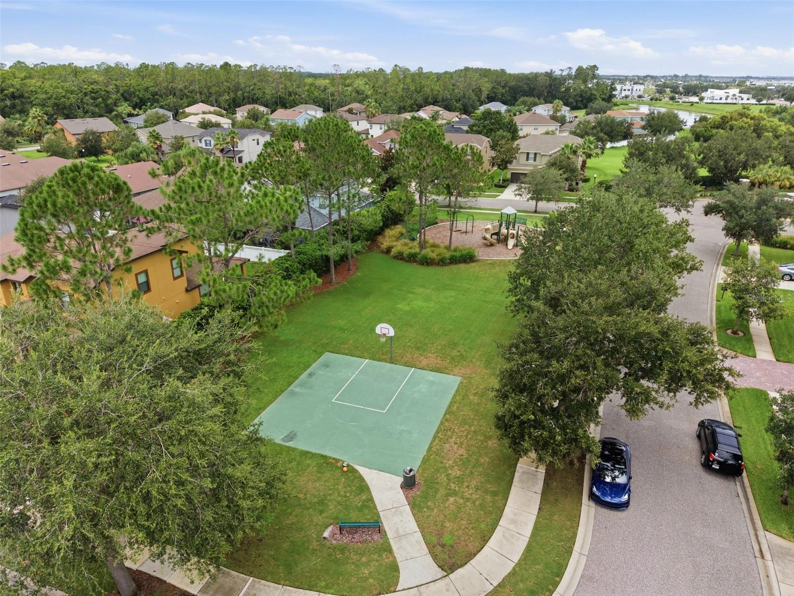 32306 Garden Alcove Loop Property Photo 49
