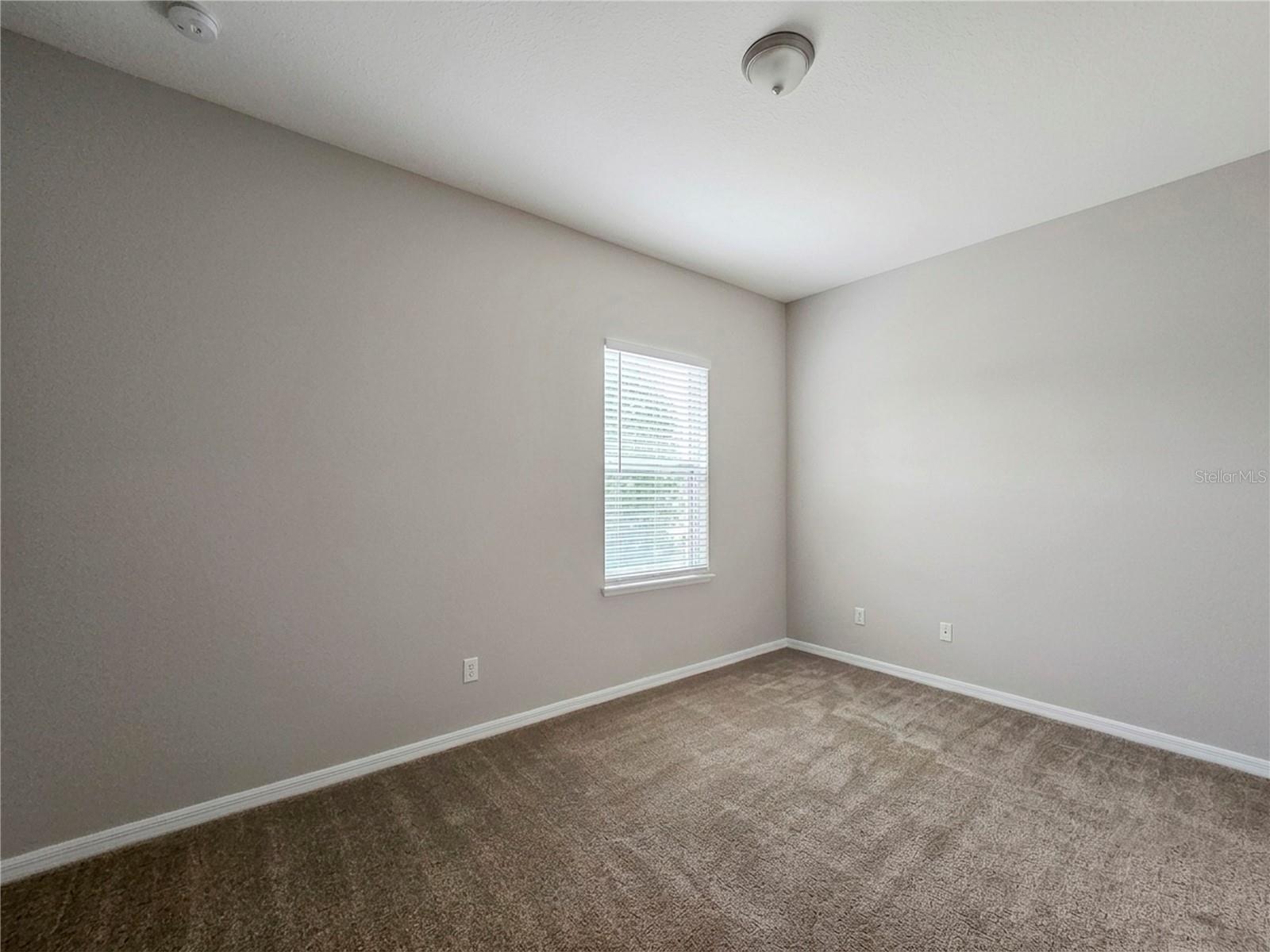 TB8530350 Property Photo 16