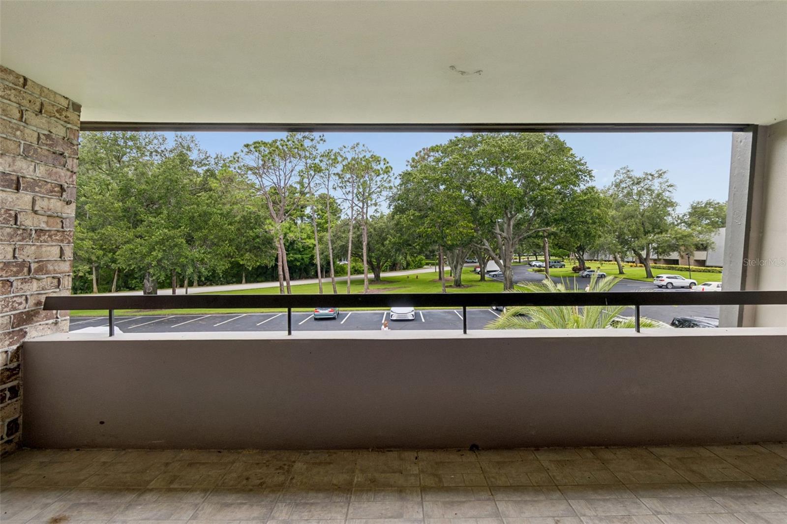 36750 Us Highway 19 N #11206 Property Photo 24