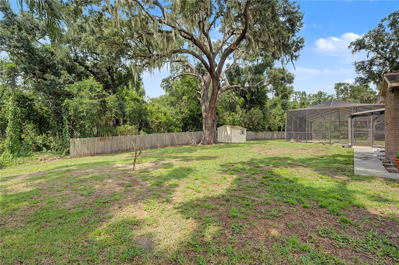 3901 Buttonwood Ct Property Photo 44