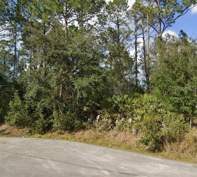 16 Sleeping Beauty Pl Property Photo 2