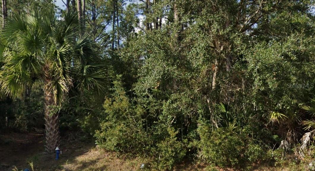16 Sleeping Beauty Pl Property Photo 3