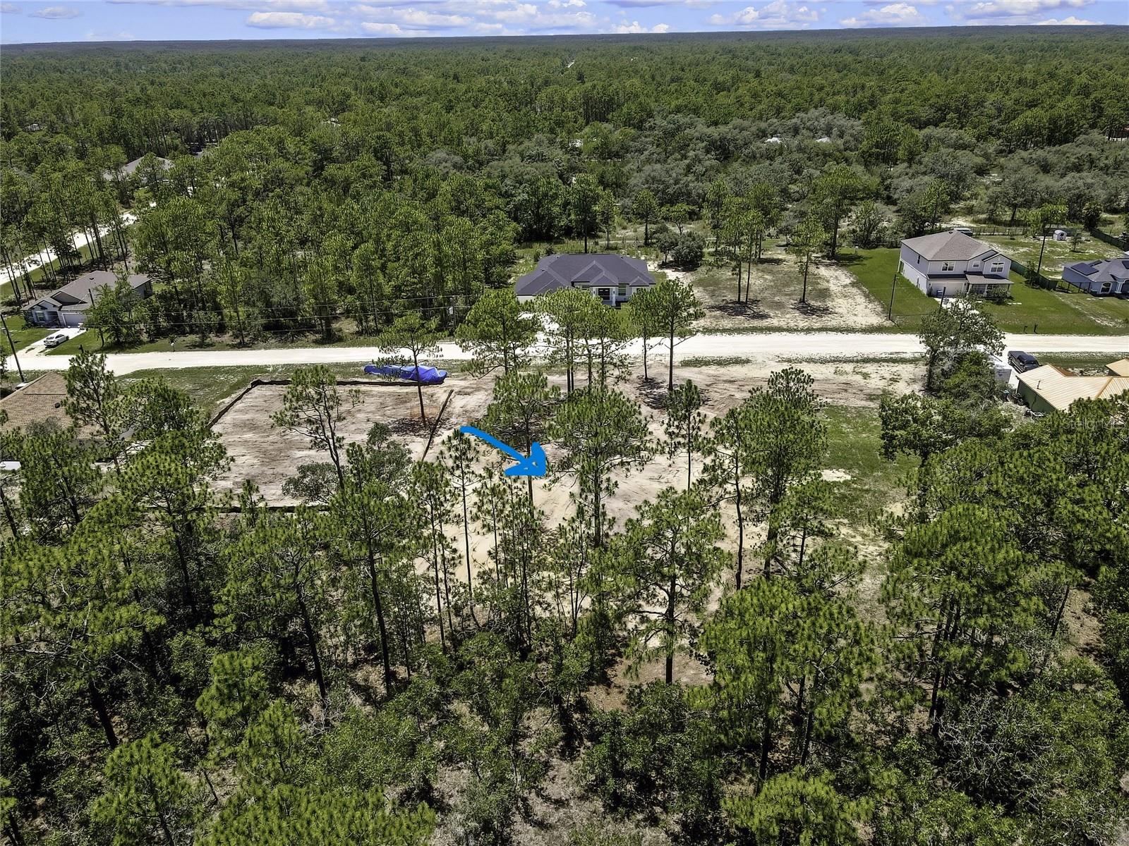 16116 Medrick Rd Property Photo 11