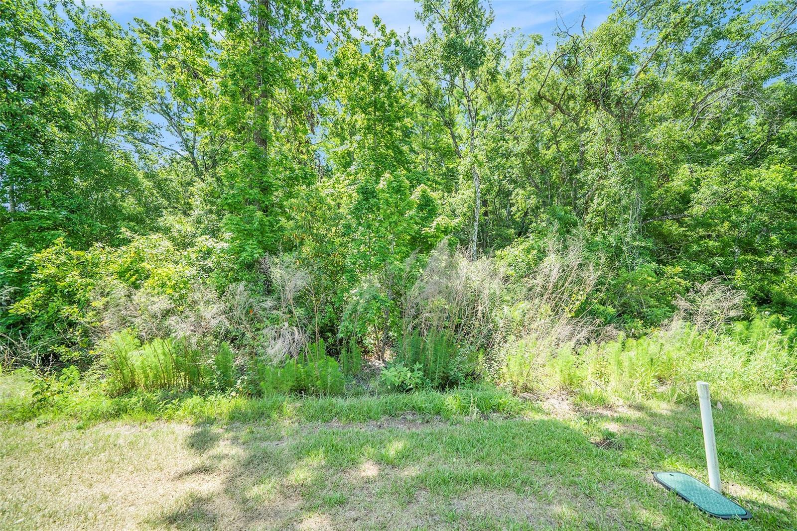 12264 Grizzly Ln Property Photo 27