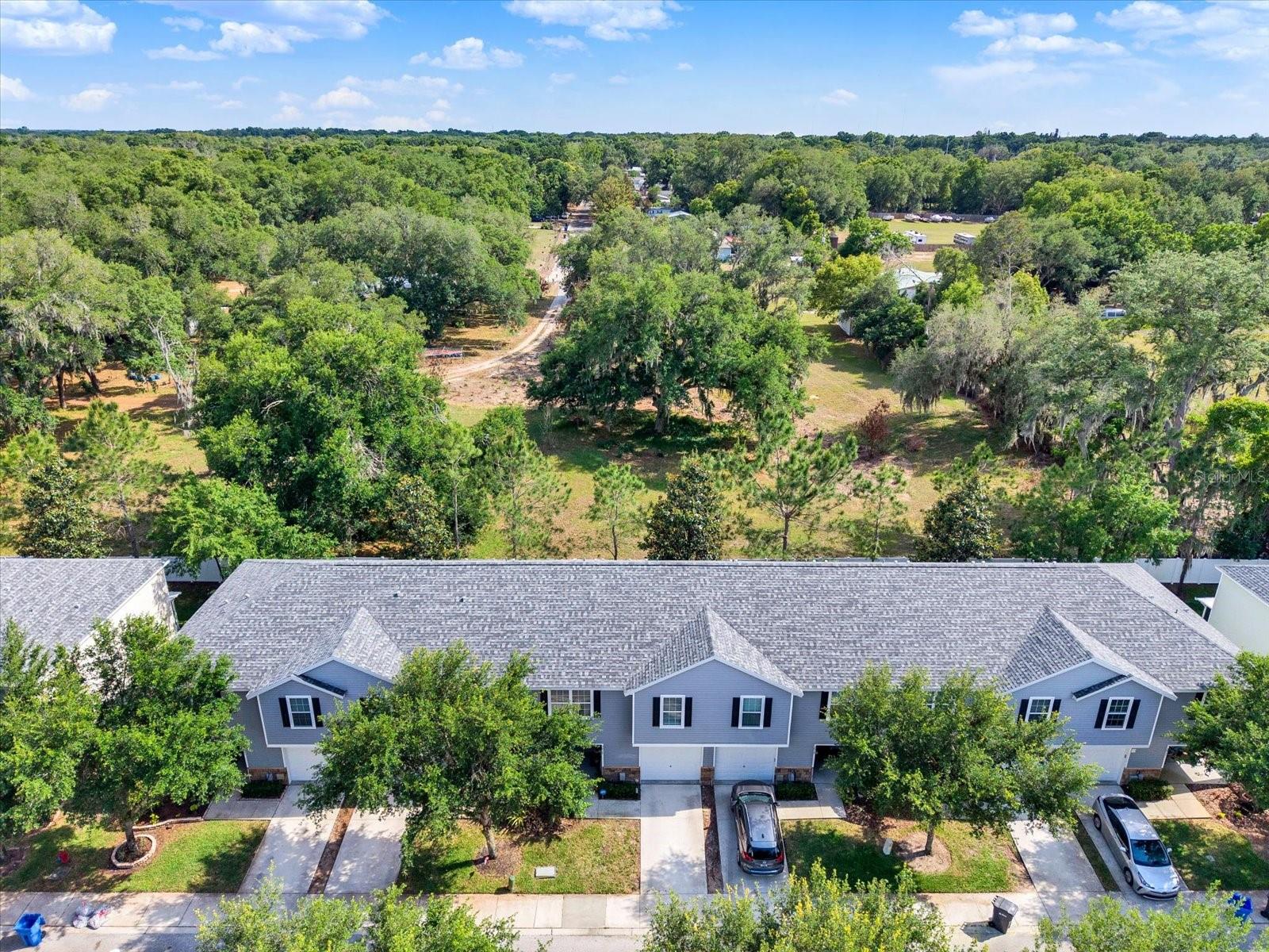 3017 Mojave Oak Dr Property Photo 31