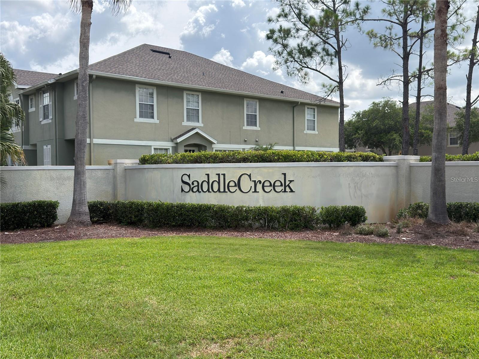 27802 PLEASURE RIDE LOOP Property Photo 1