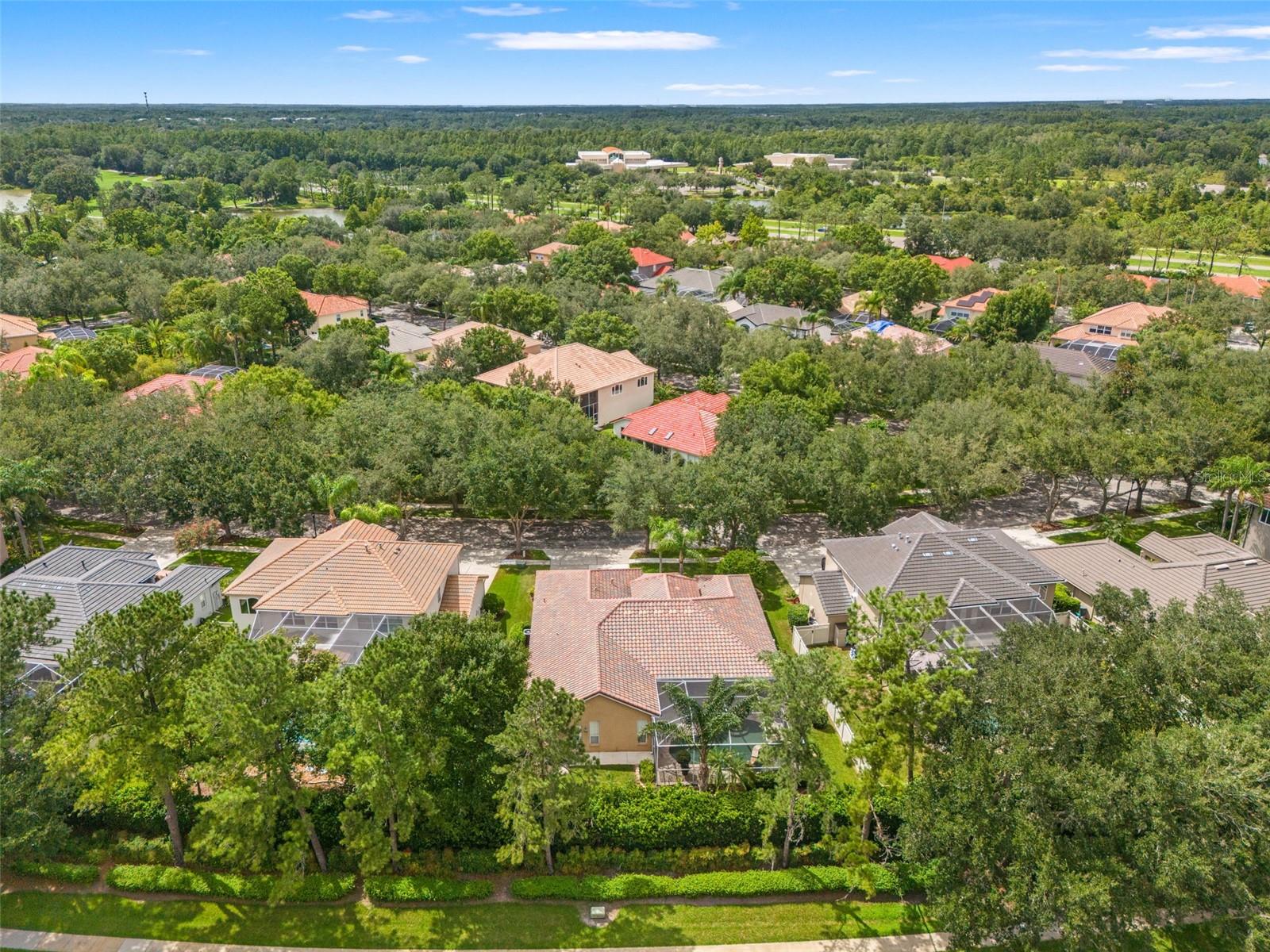 18115 Regents Square Dr Property Photo 75
