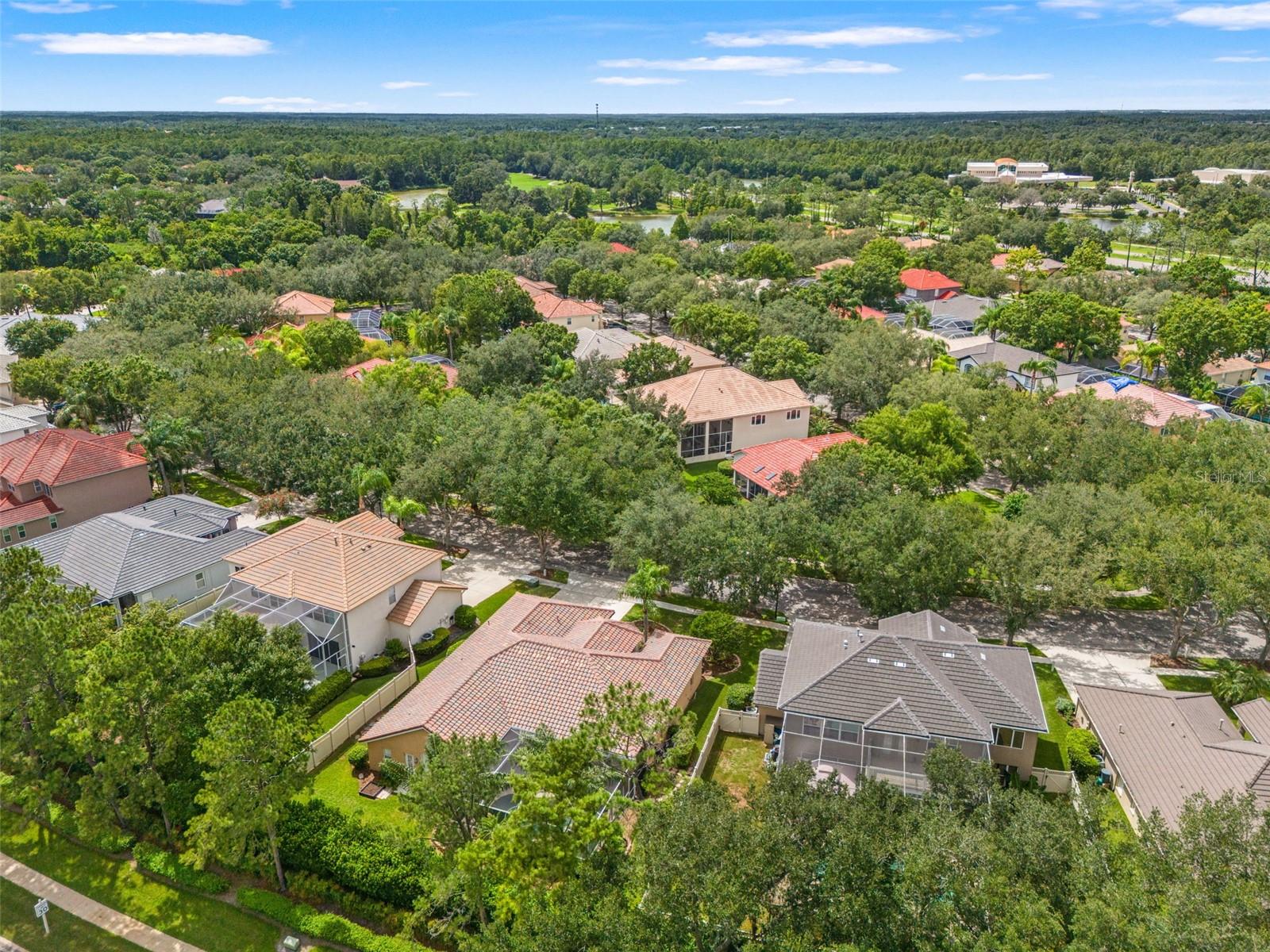 18115 Regents Square Dr Property Photo 76