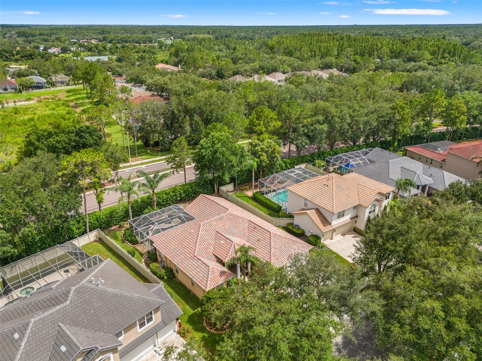 18115 Regents Square Dr Property Photo 78