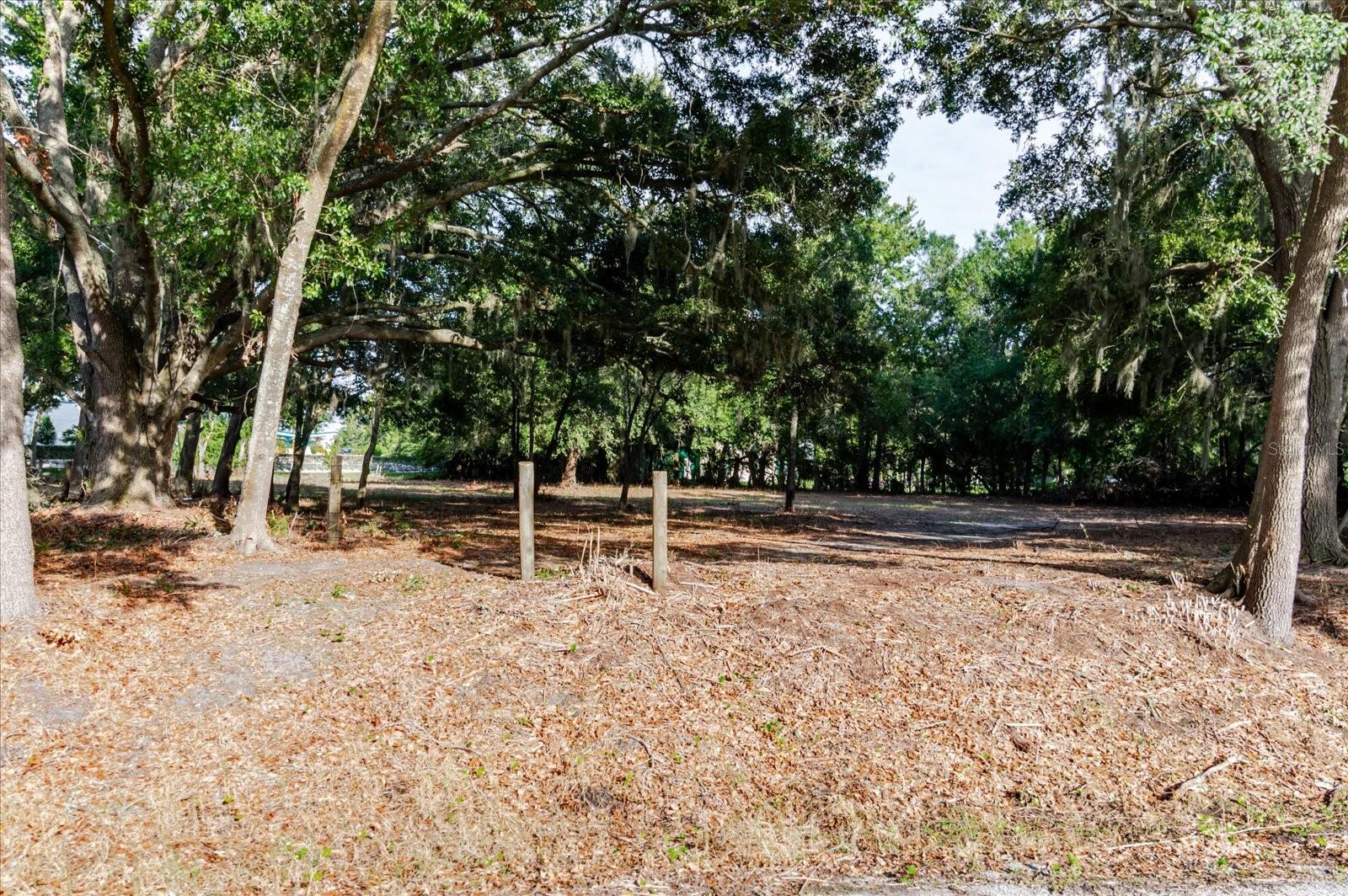 17380 Riverstone Dr Property Photo 39