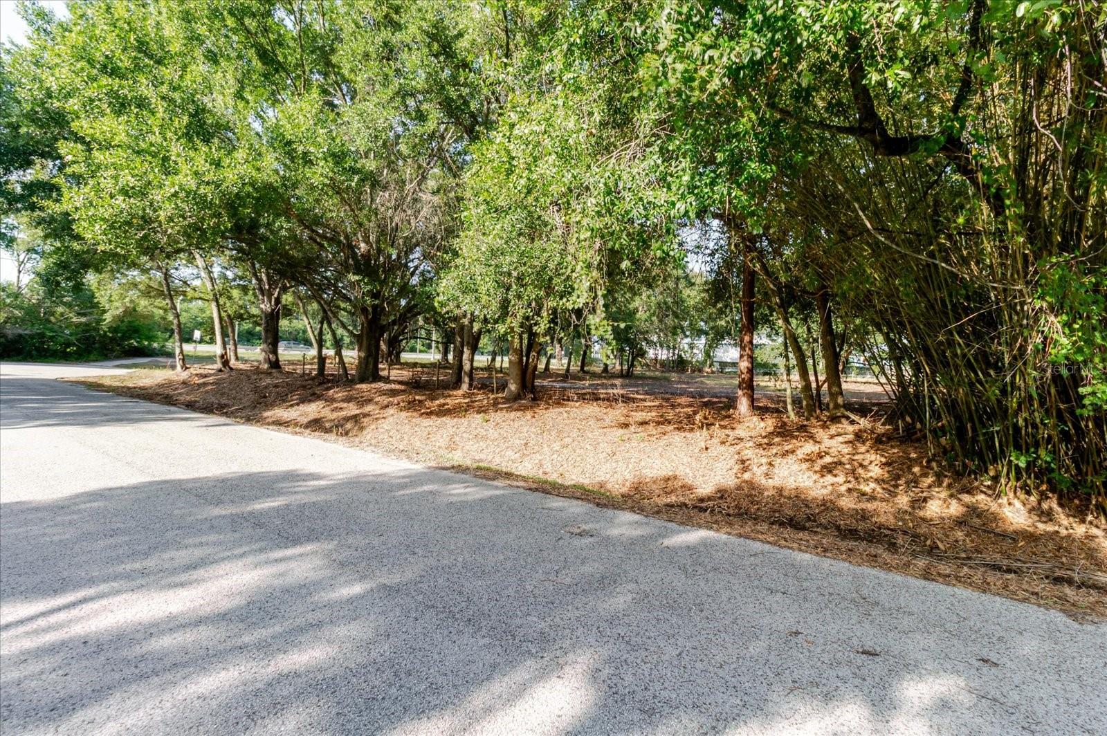 17380 Riverstone Dr Property Photo 40