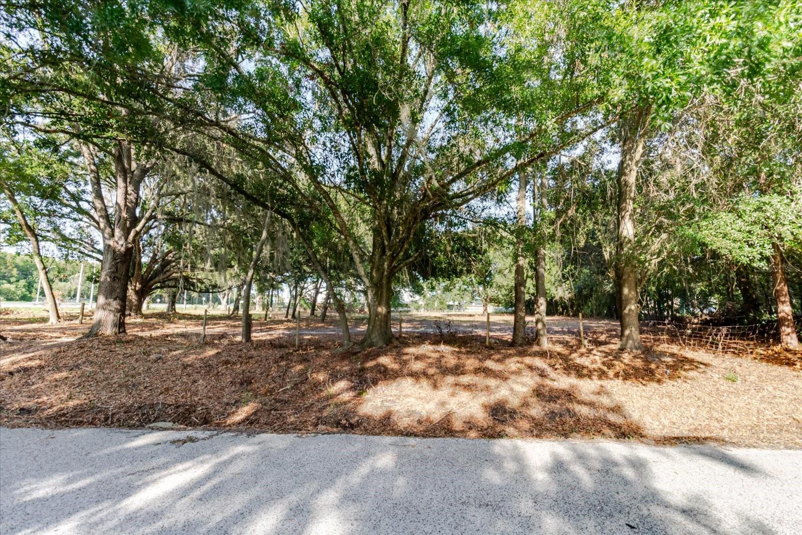 17380 Riverstone Dr Property Photo 41