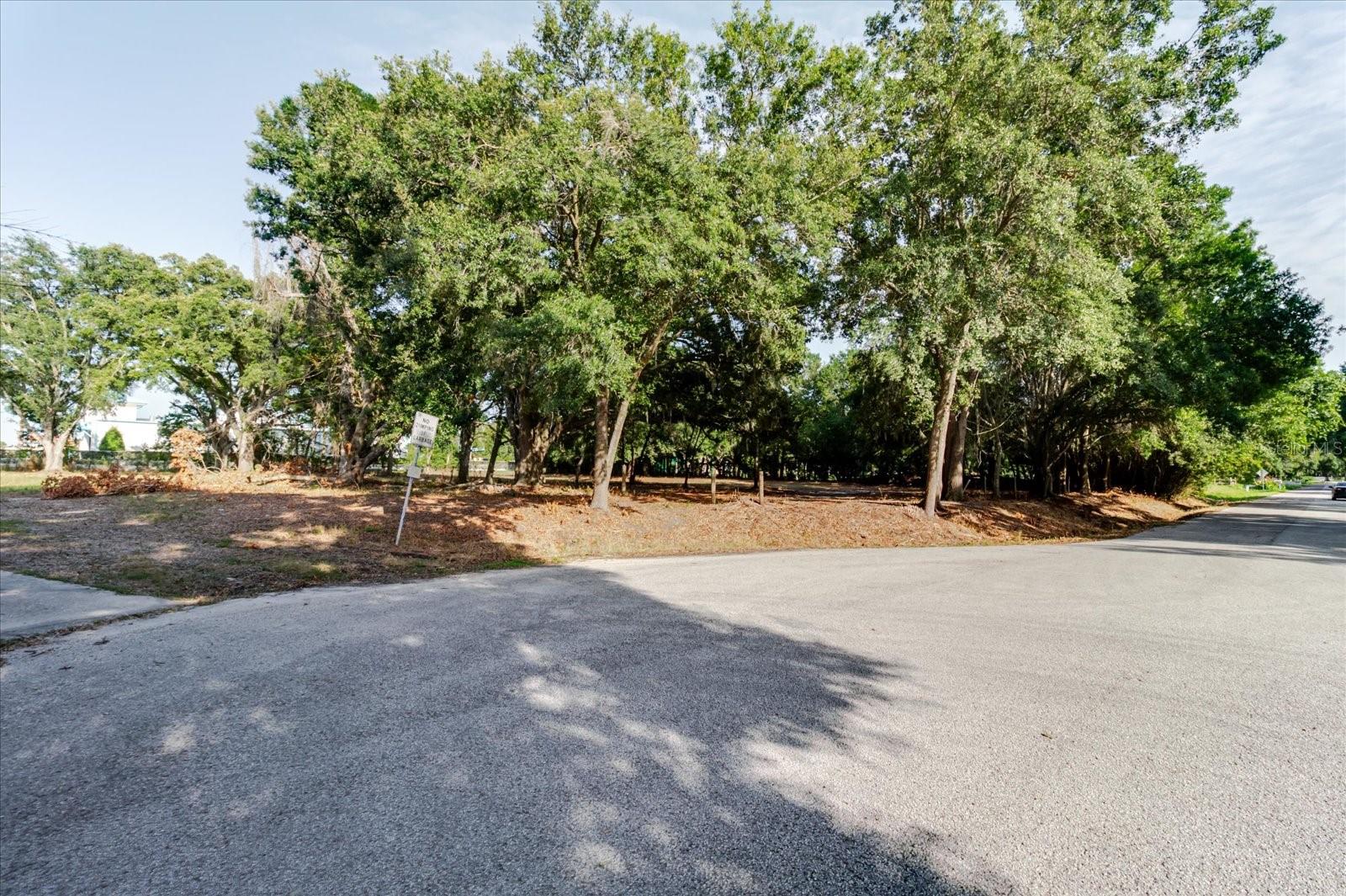 17380 Riverstone Dr Property Photo 42