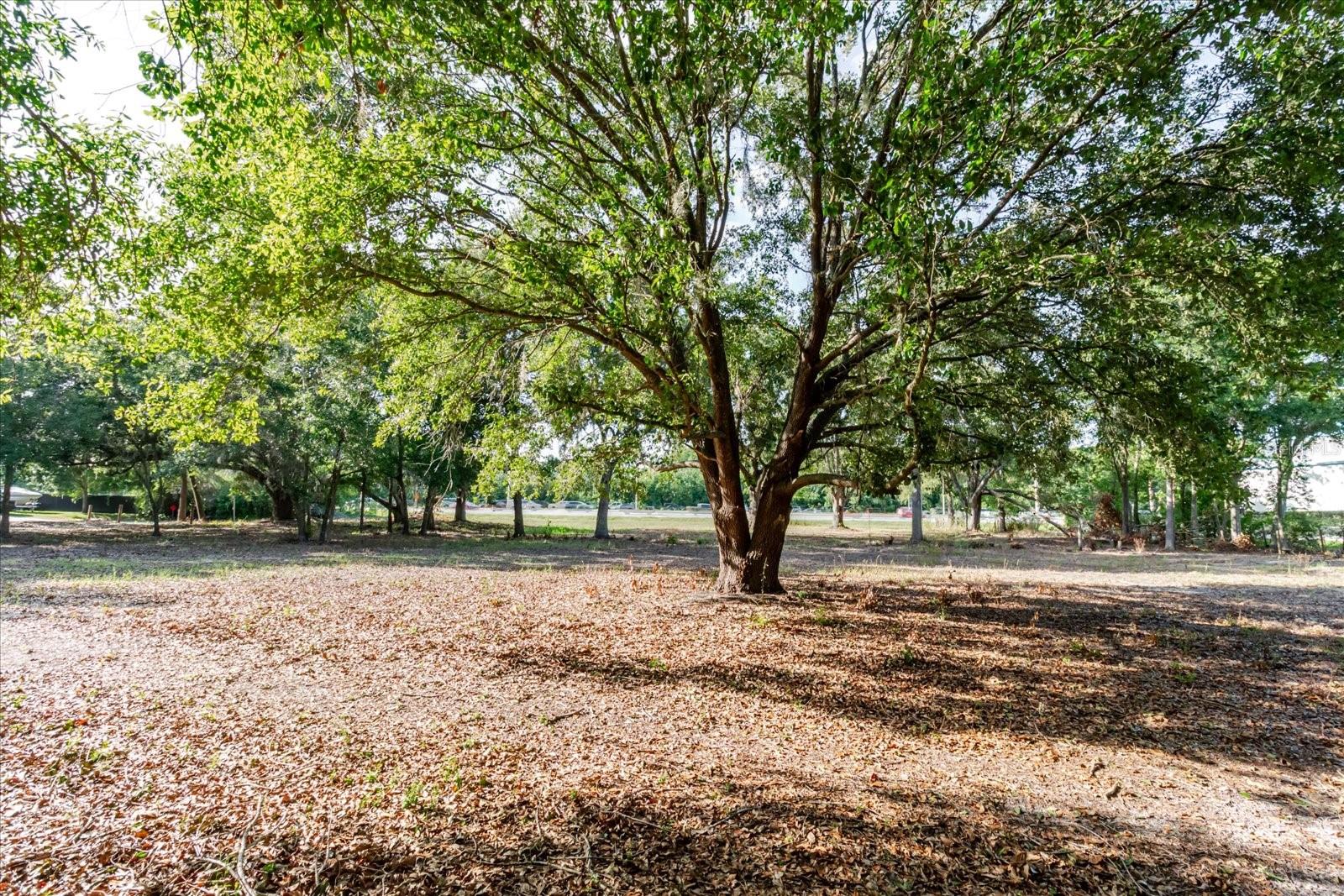 17380 Riverstone Dr Property Photo 43