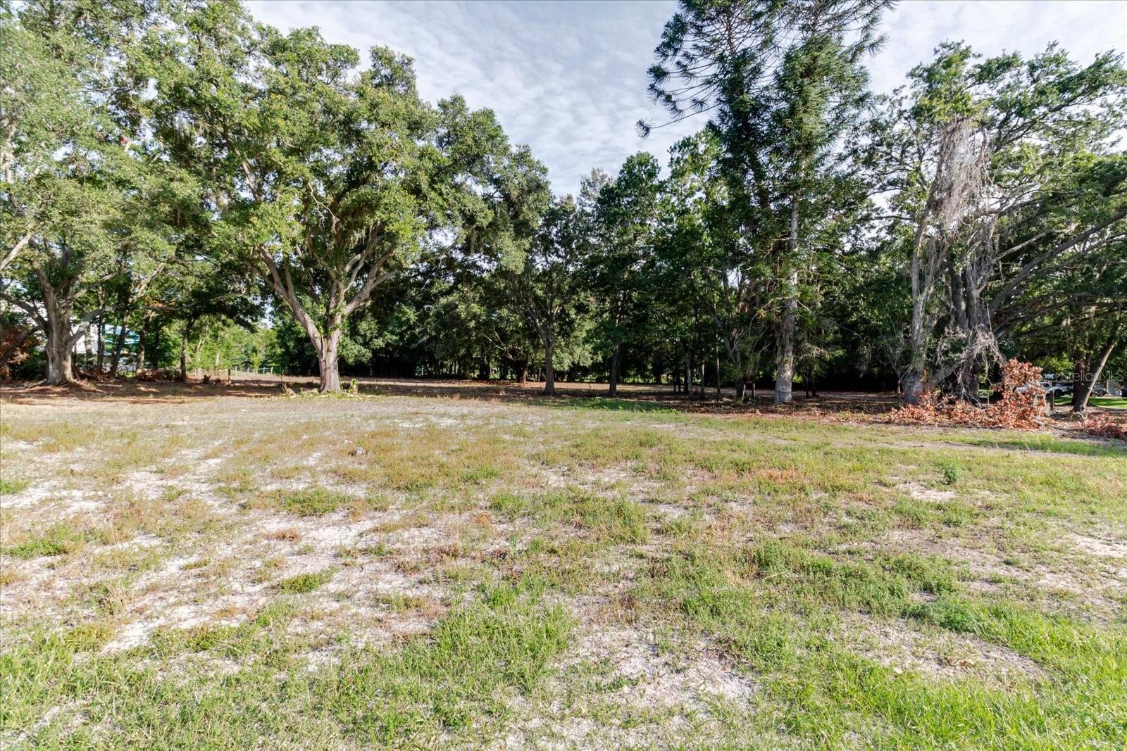17380 Riverstone Dr Property Photo 44