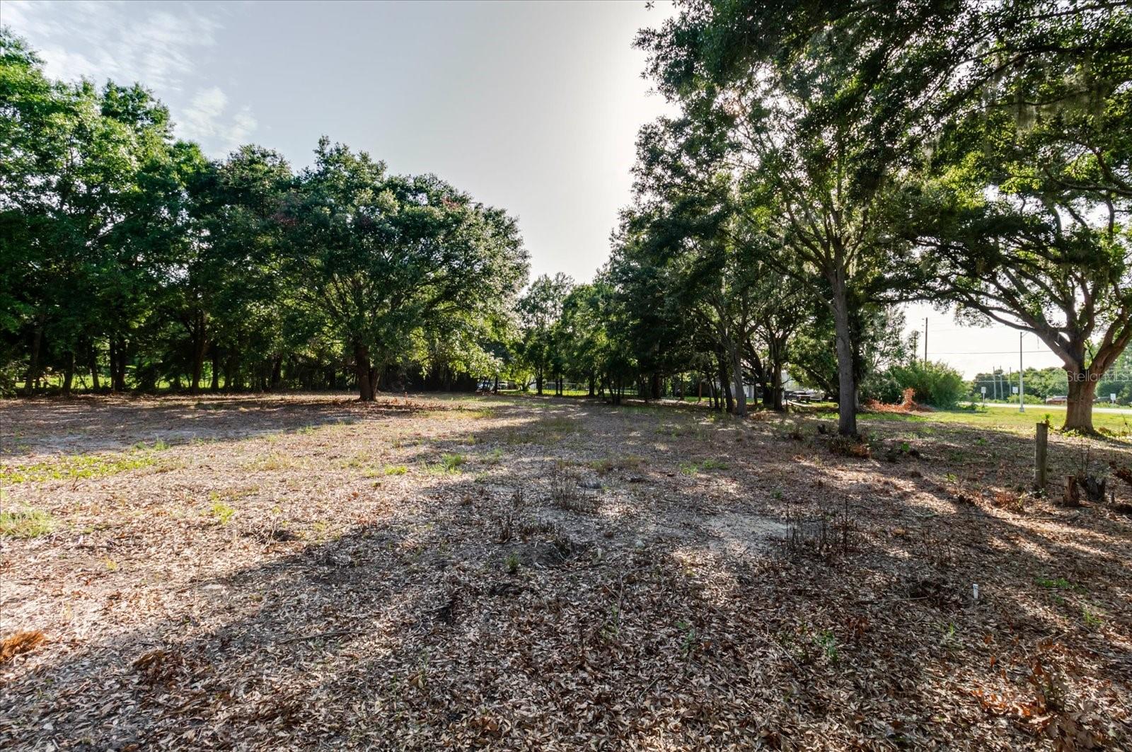 17380 Riverstone Dr Property Photo 45