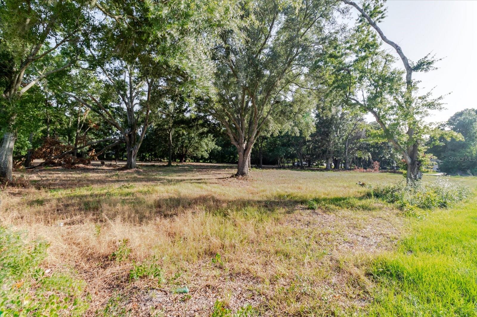 17380 Riverstone Dr Property Photo 46