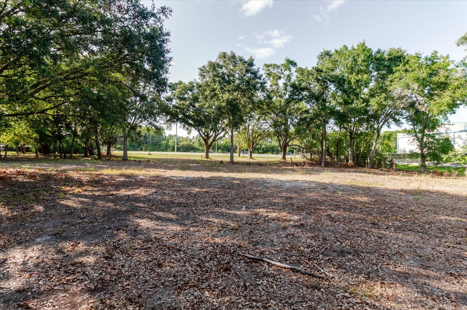 17380 Riverstone Dr Property Photo 47