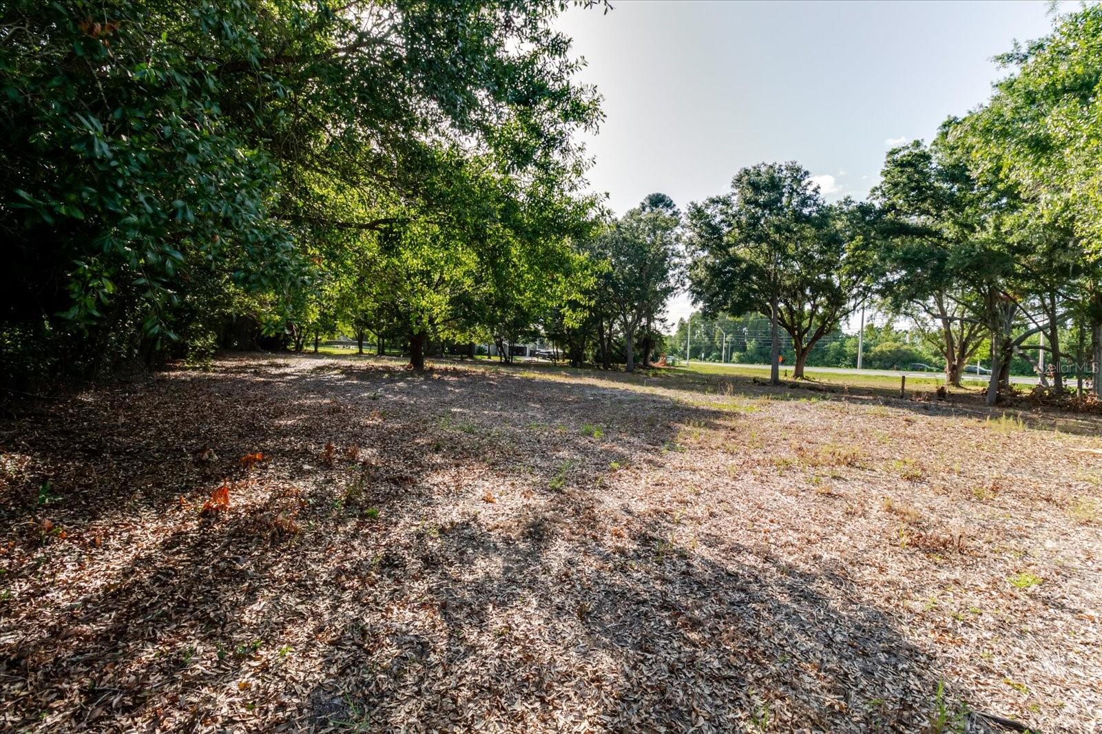 17380 Riverstone Dr Property Photo 48