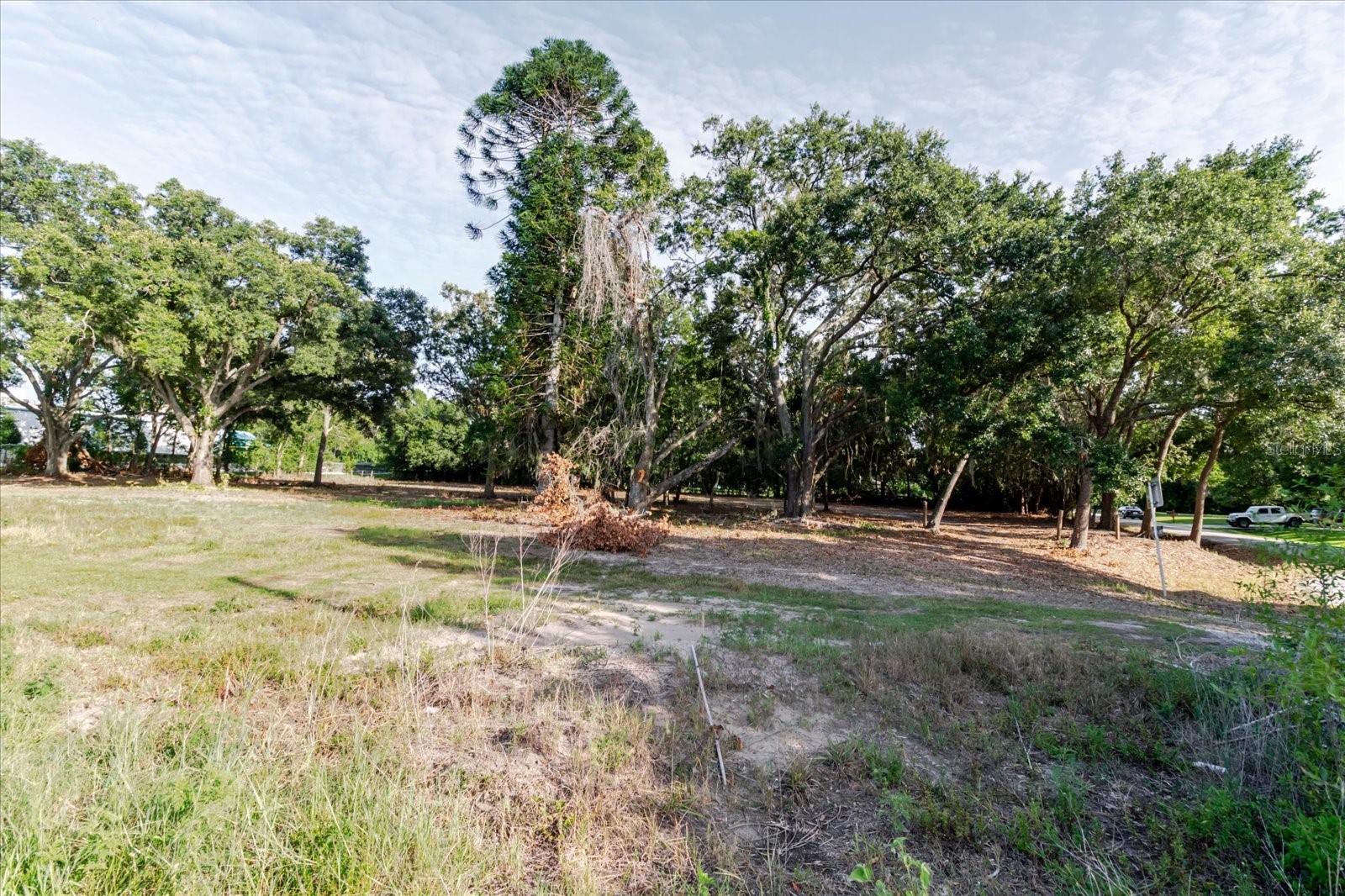 17380 Riverstone Dr Property Photo 50