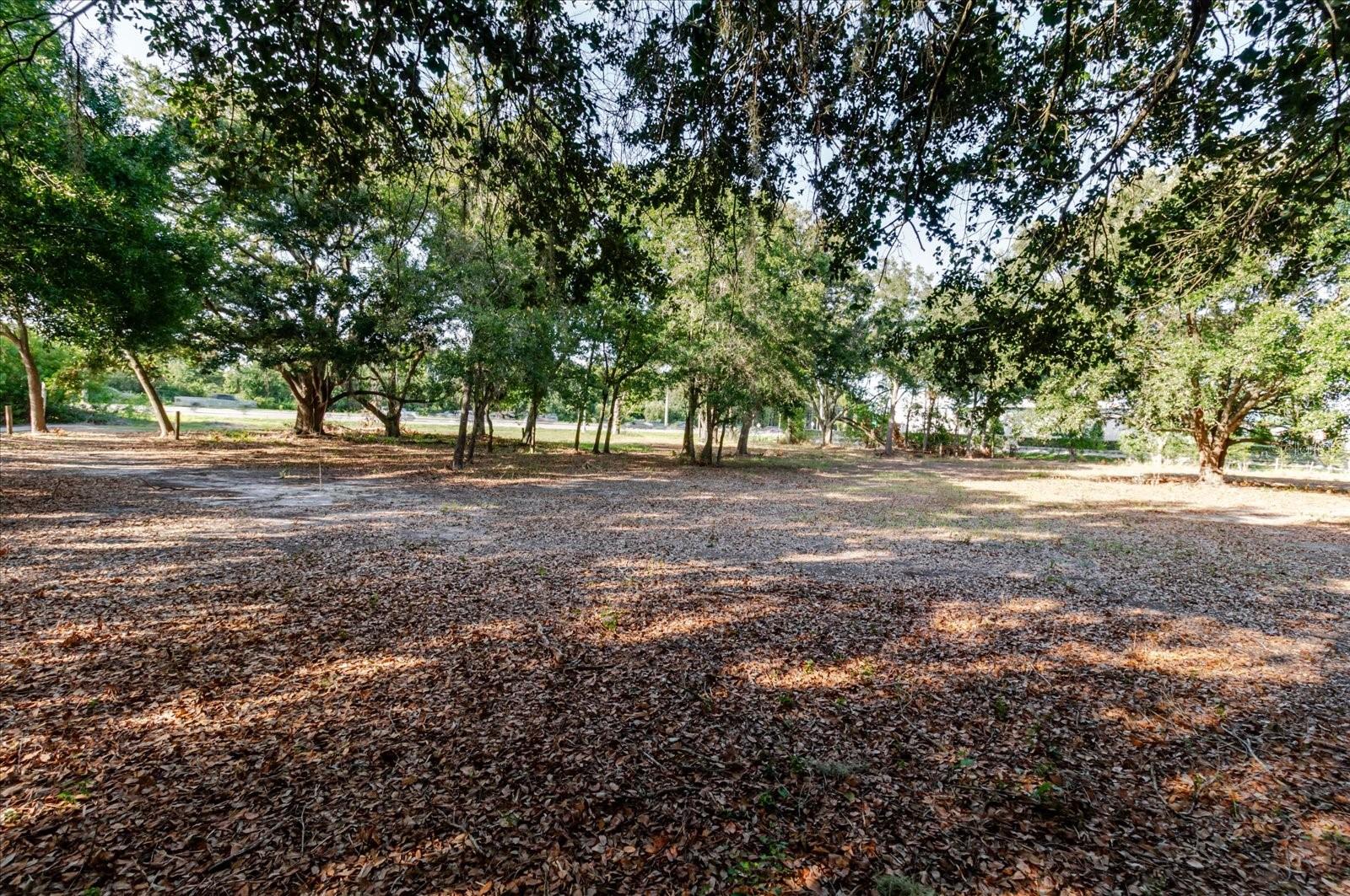 17380 Riverstone Dr Property Photo 51
