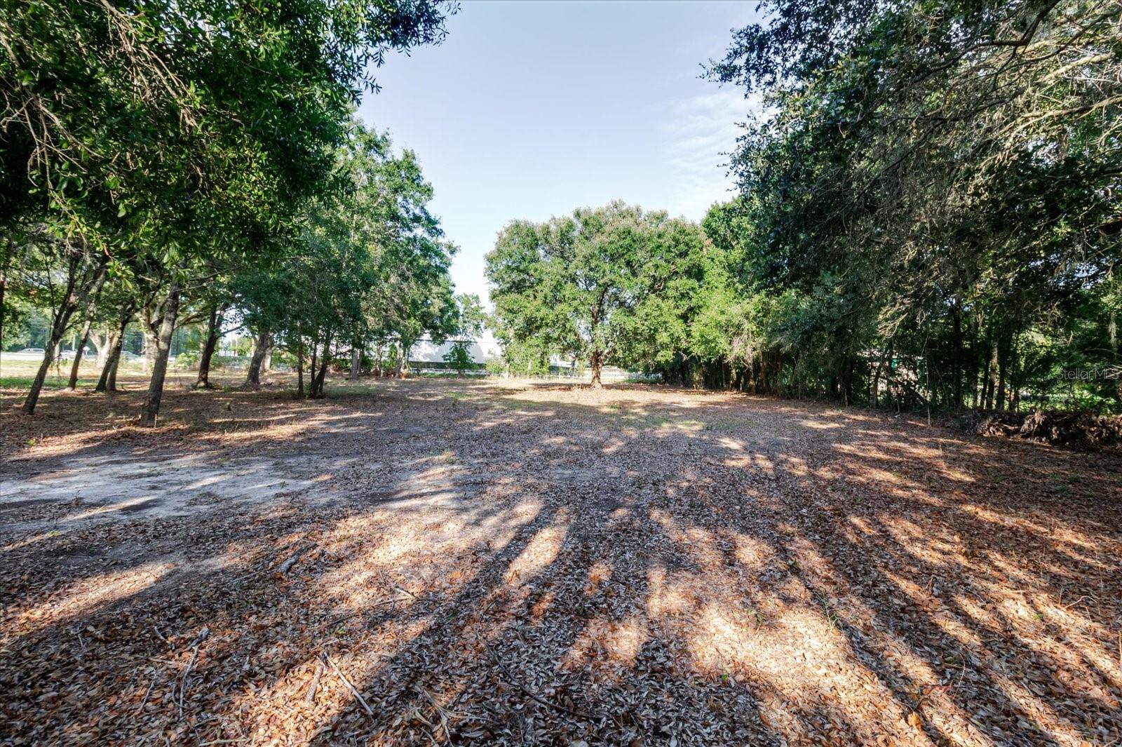 17380 Riverstone Dr Property Photo 52