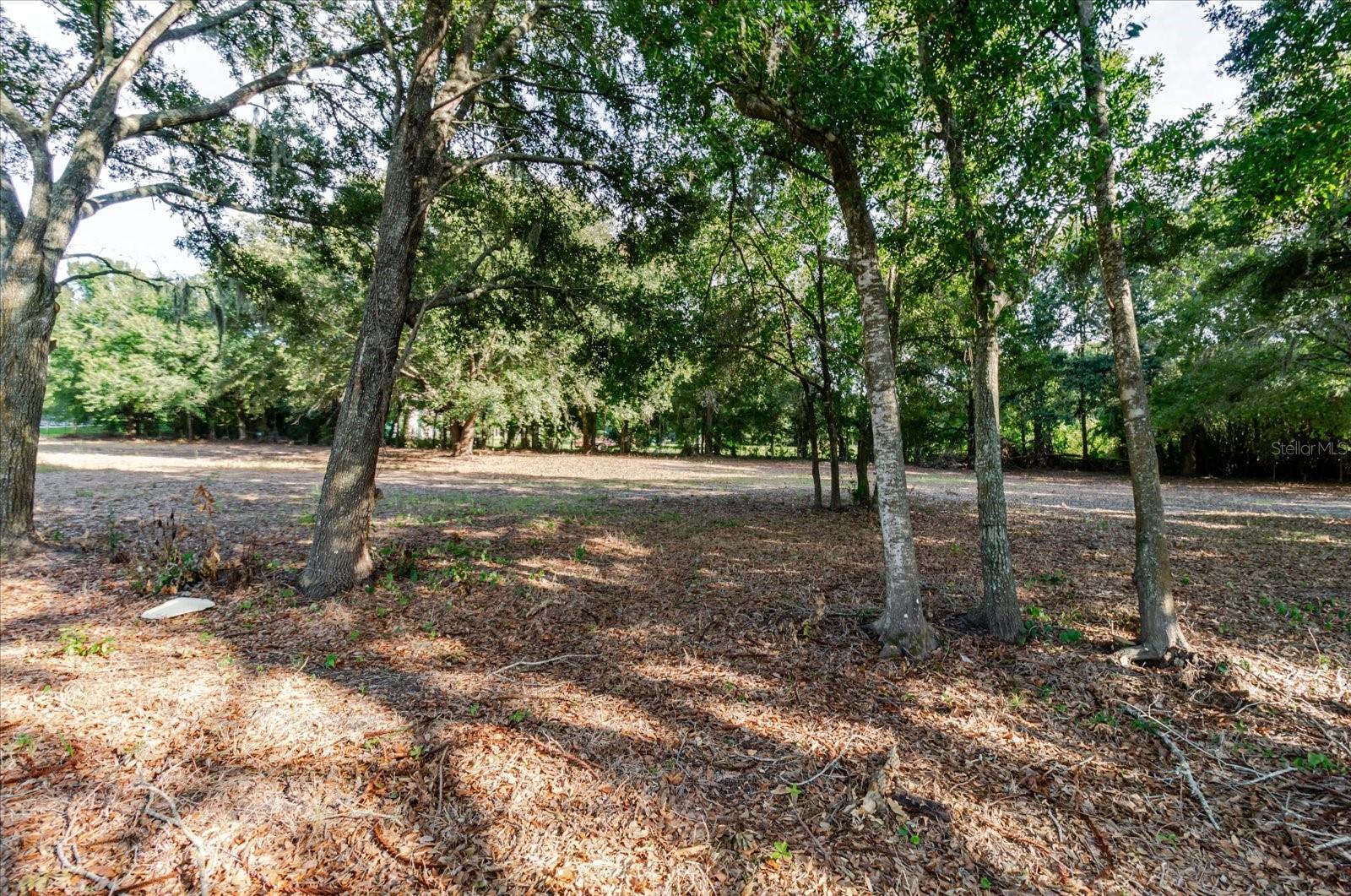 17380 Riverstone Dr Property Photo 54