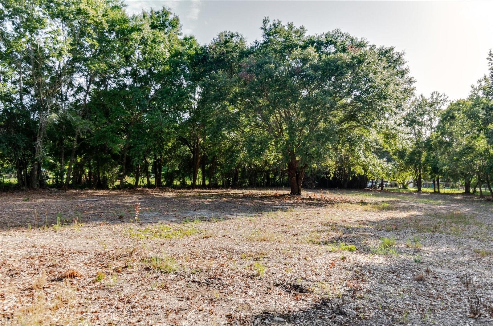 17380 Riverstone Dr Property Photo 56