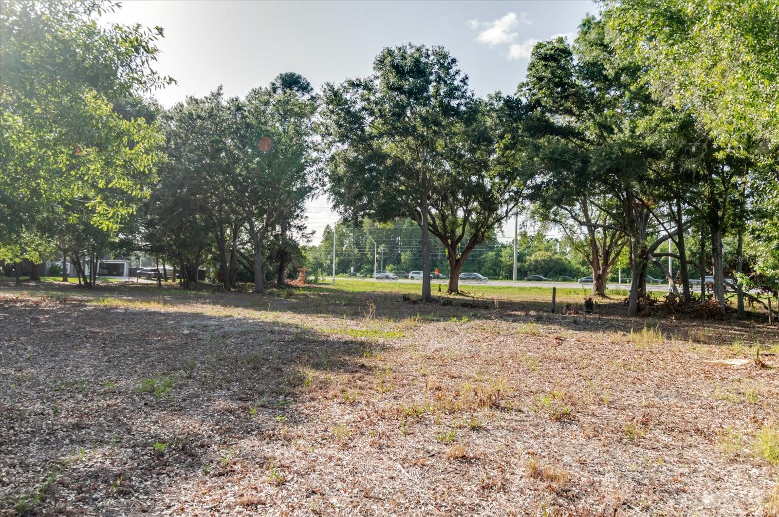 17380 Riverstone Dr Property Photo 57