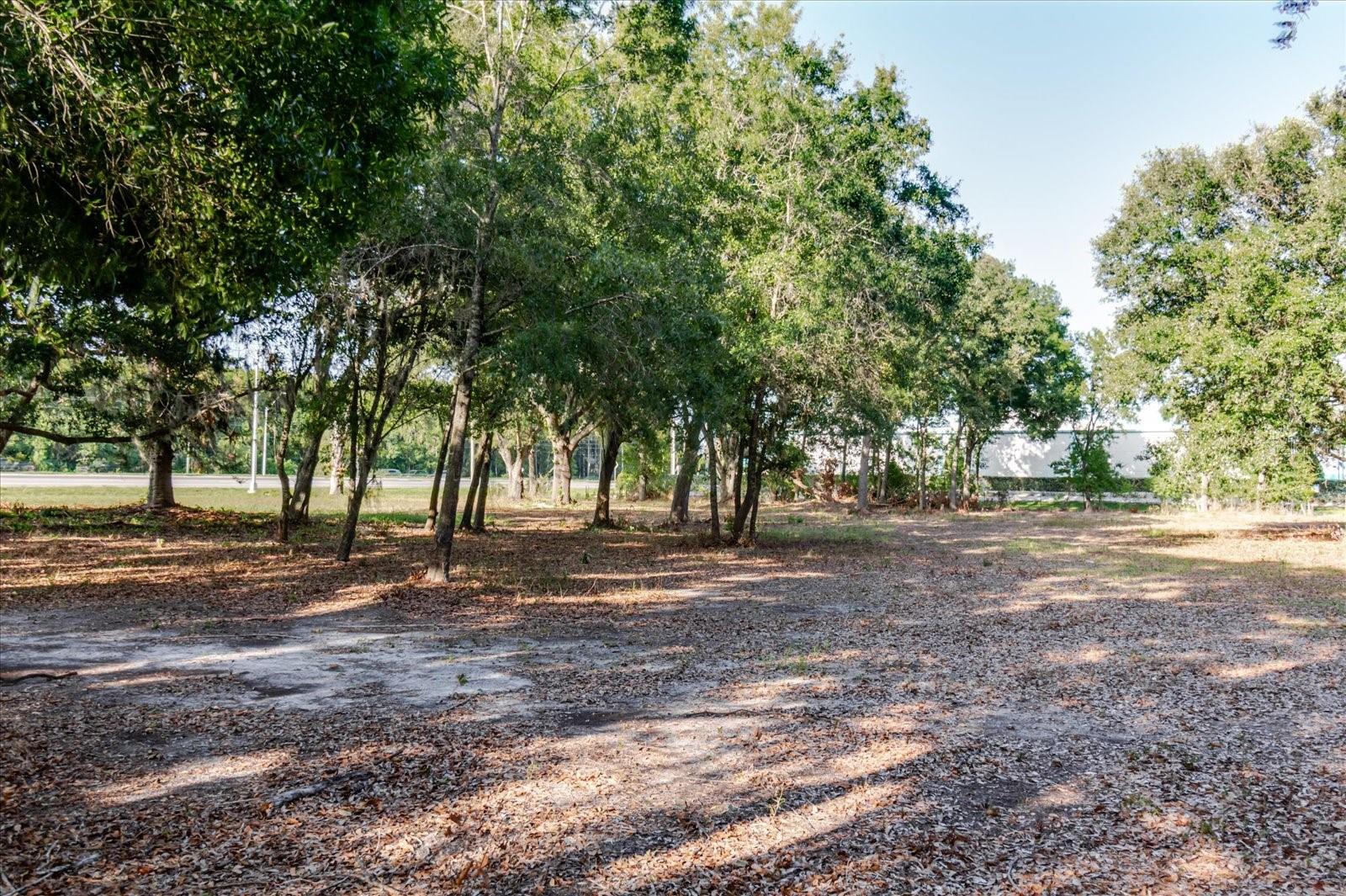 17380 Riverstone Dr Property Photo 60