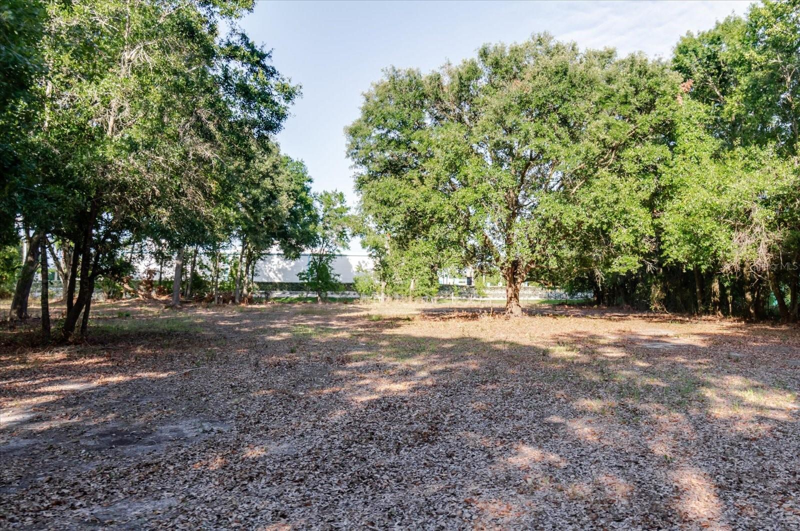 17380 Riverstone Dr Property Photo 61