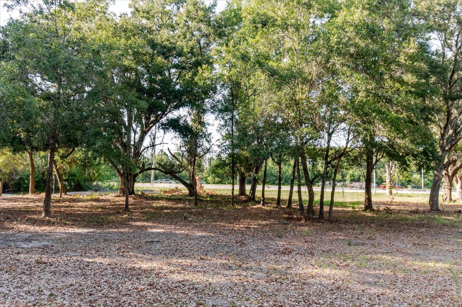 17380 Riverstone Dr Property Photo 62