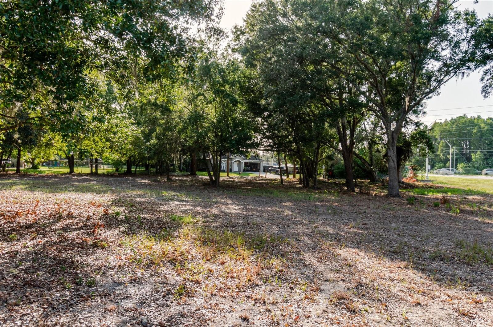 17380 Riverstone Dr Property Photo 64