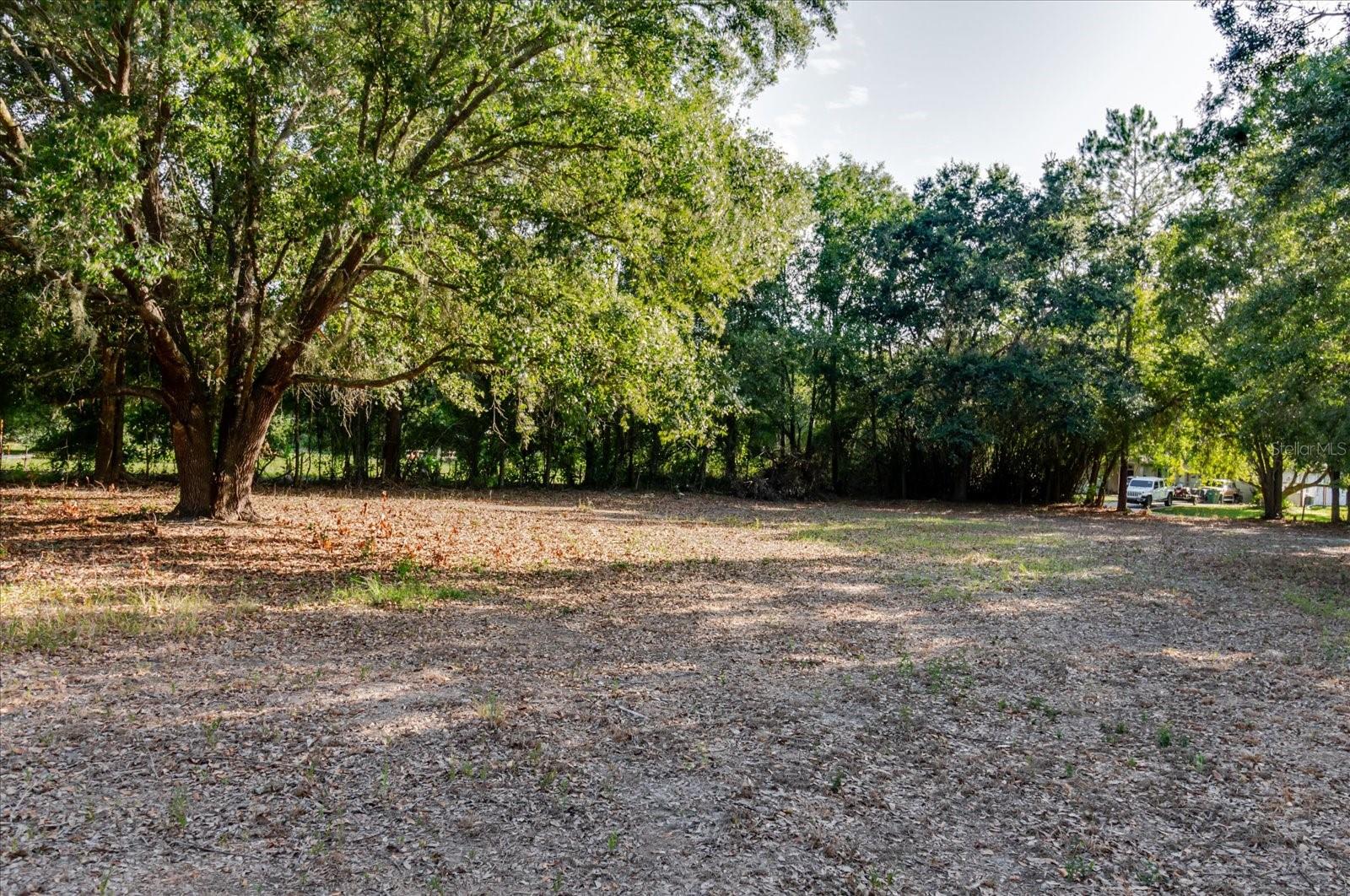 17380 Riverstone Dr Property Photo 66