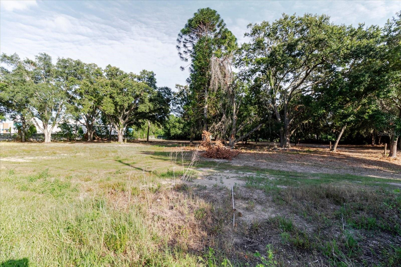 17380 Riverstone Dr Property Photo 68