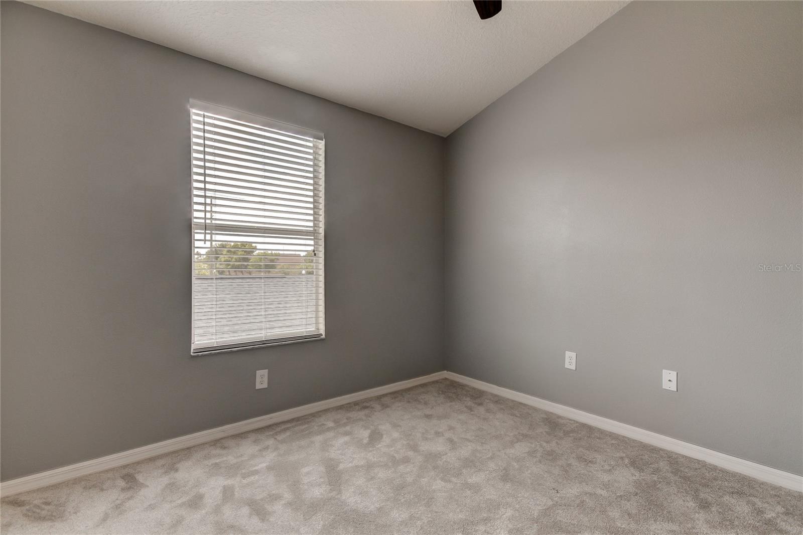 10003 Bradwell Pl Property Photo 29