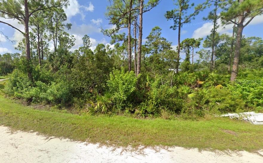 12249 Caravan Dr Property Photo 2