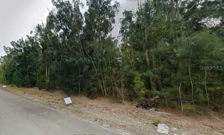 27343 Pasadena Dr Property Photo 2