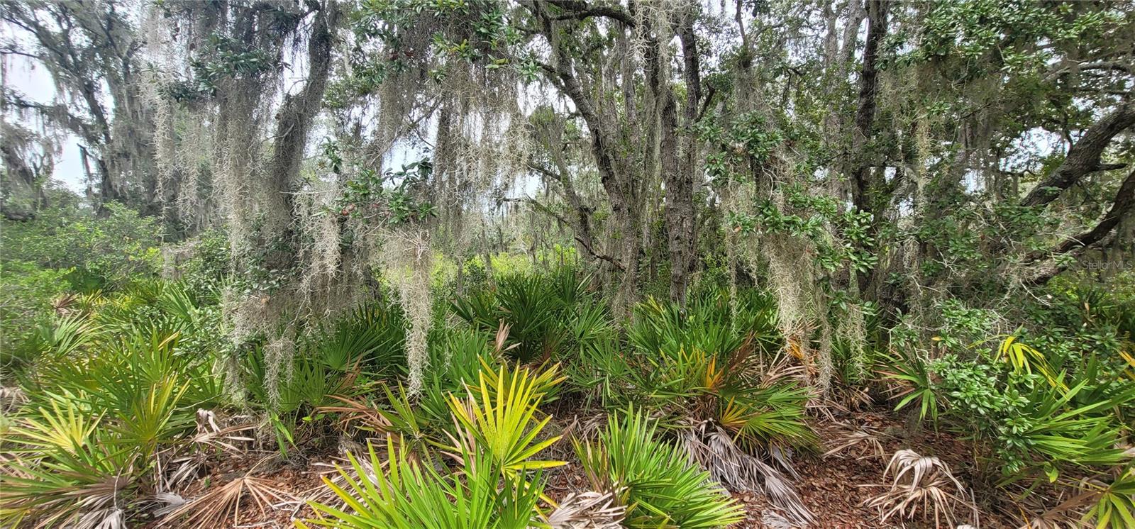 200 Red Fox Dr Property Photo 1