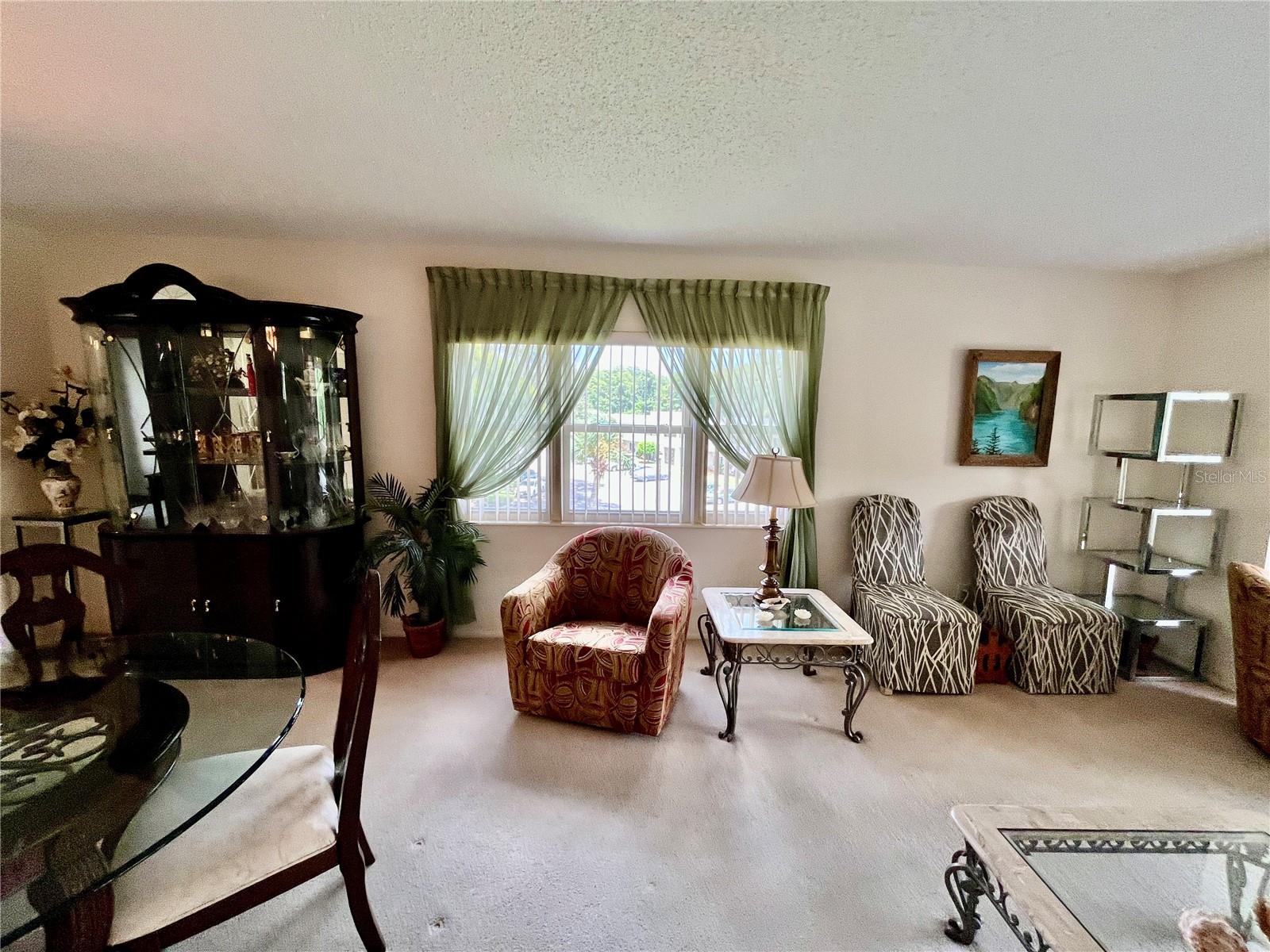 2471 Sumatran Way #43 Property Photo 11