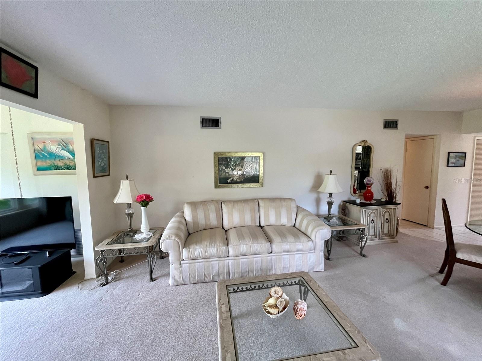 2471 Sumatran Way #43 Property Photo 12