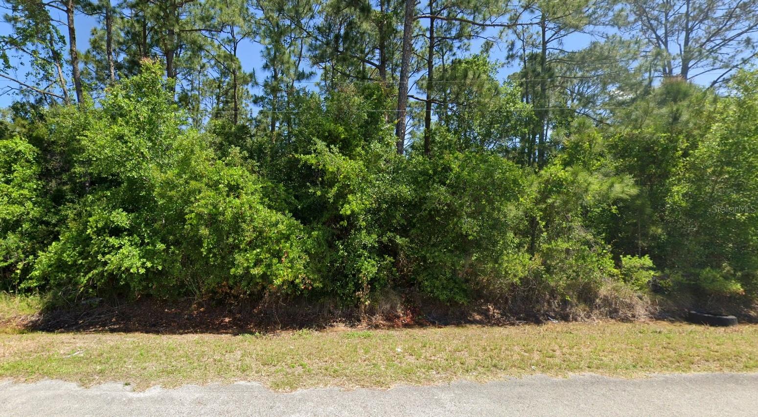 445 Pershing Ave Property Photo 4