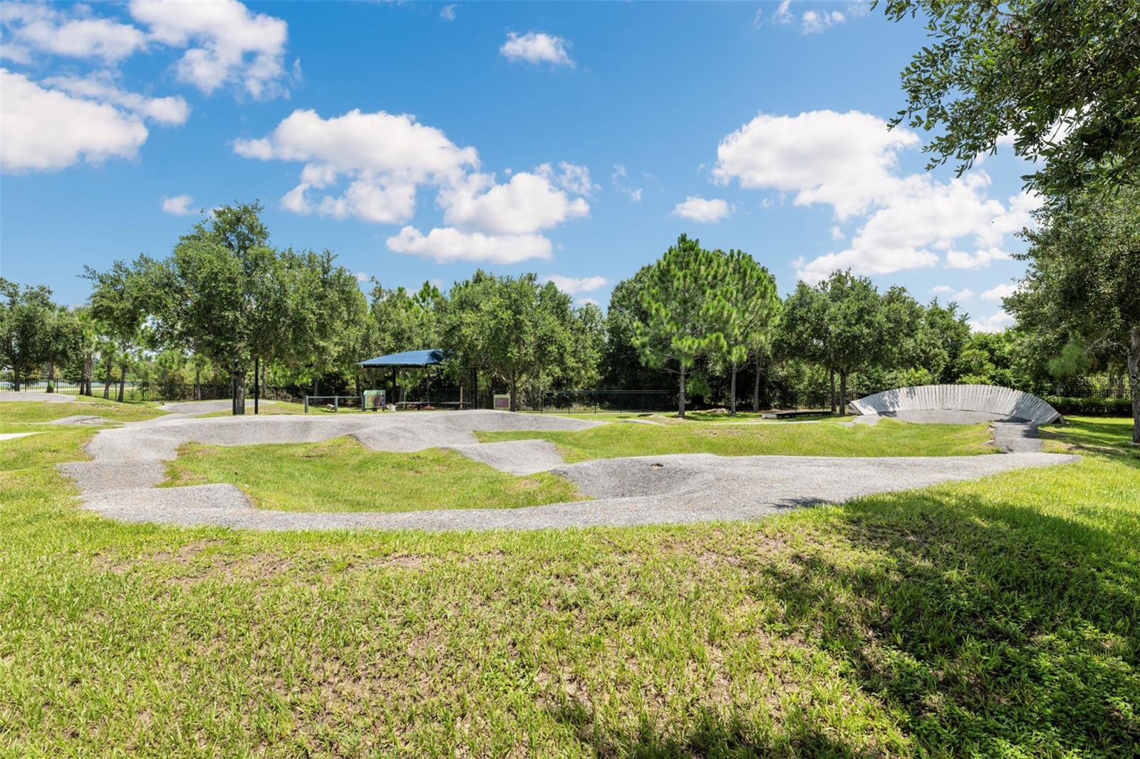 4801 Ballantrae Blvd Property Photo 87
