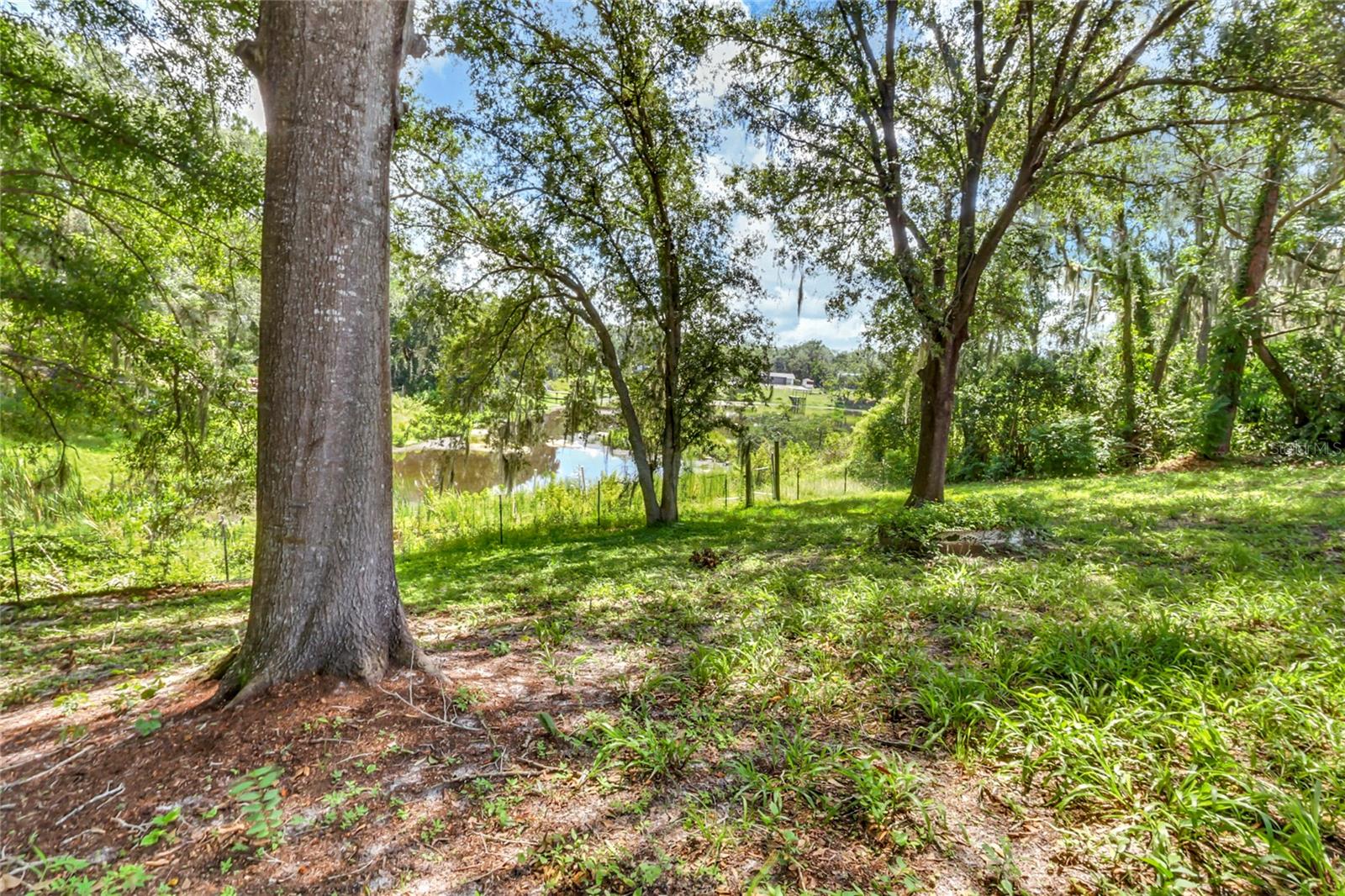 16123 E Lake Burrell Dr Property Photo 53