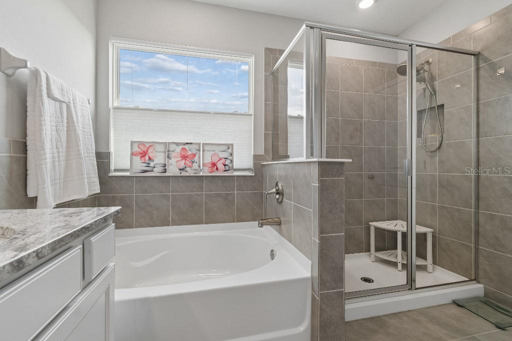 116 Bright Ibis Ave Property Photo 38