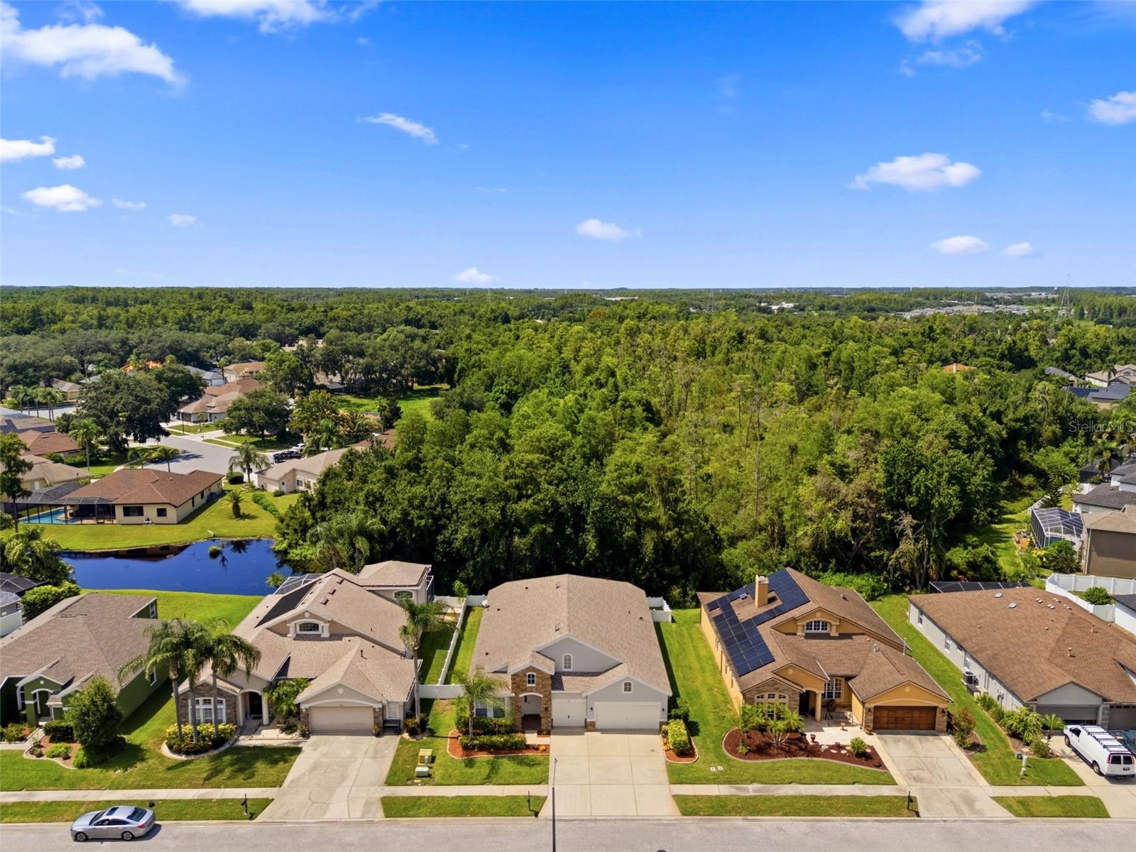 1501 Flatwood Ct Property Photo 48